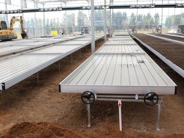 china hoop greenhouse wholesalers