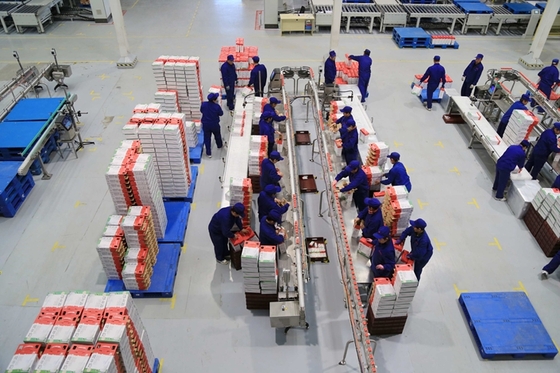 china huishan dairy holdings company limited