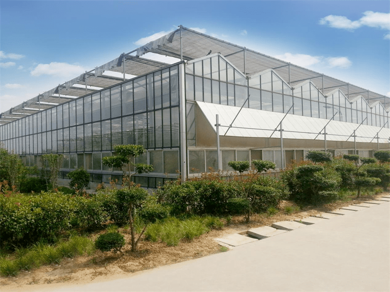 china insulated greenhouse wholesaler