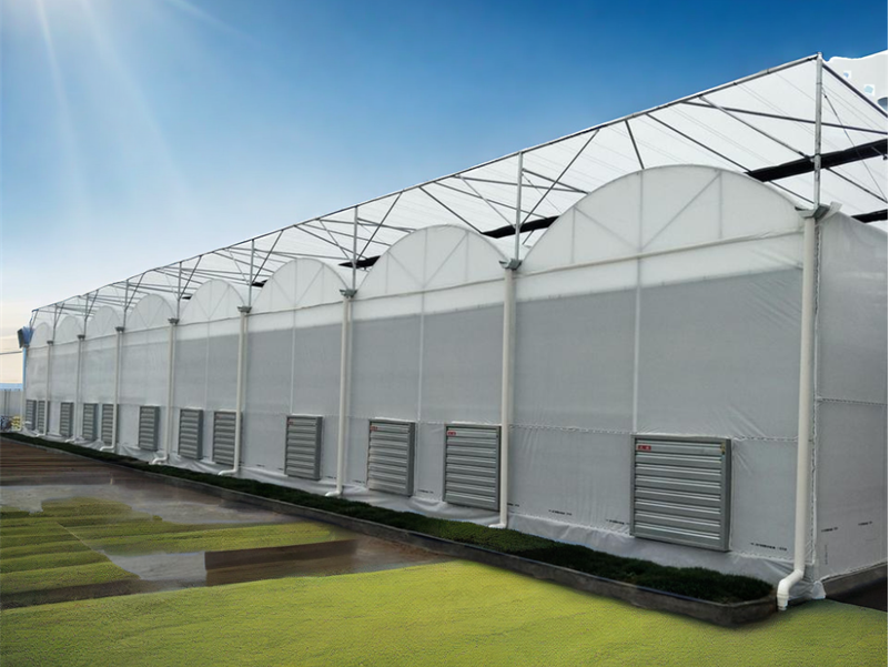 china insulated greenhouse wholesaler