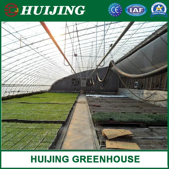 china insulated greenhouse wholesaler