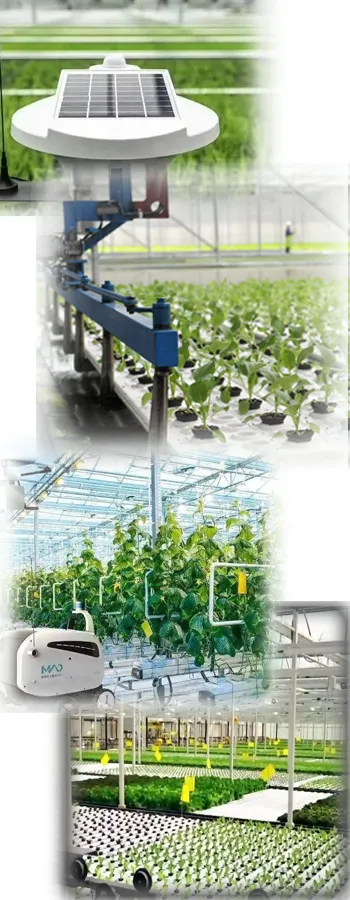 china intelligent greenhouse wholesale