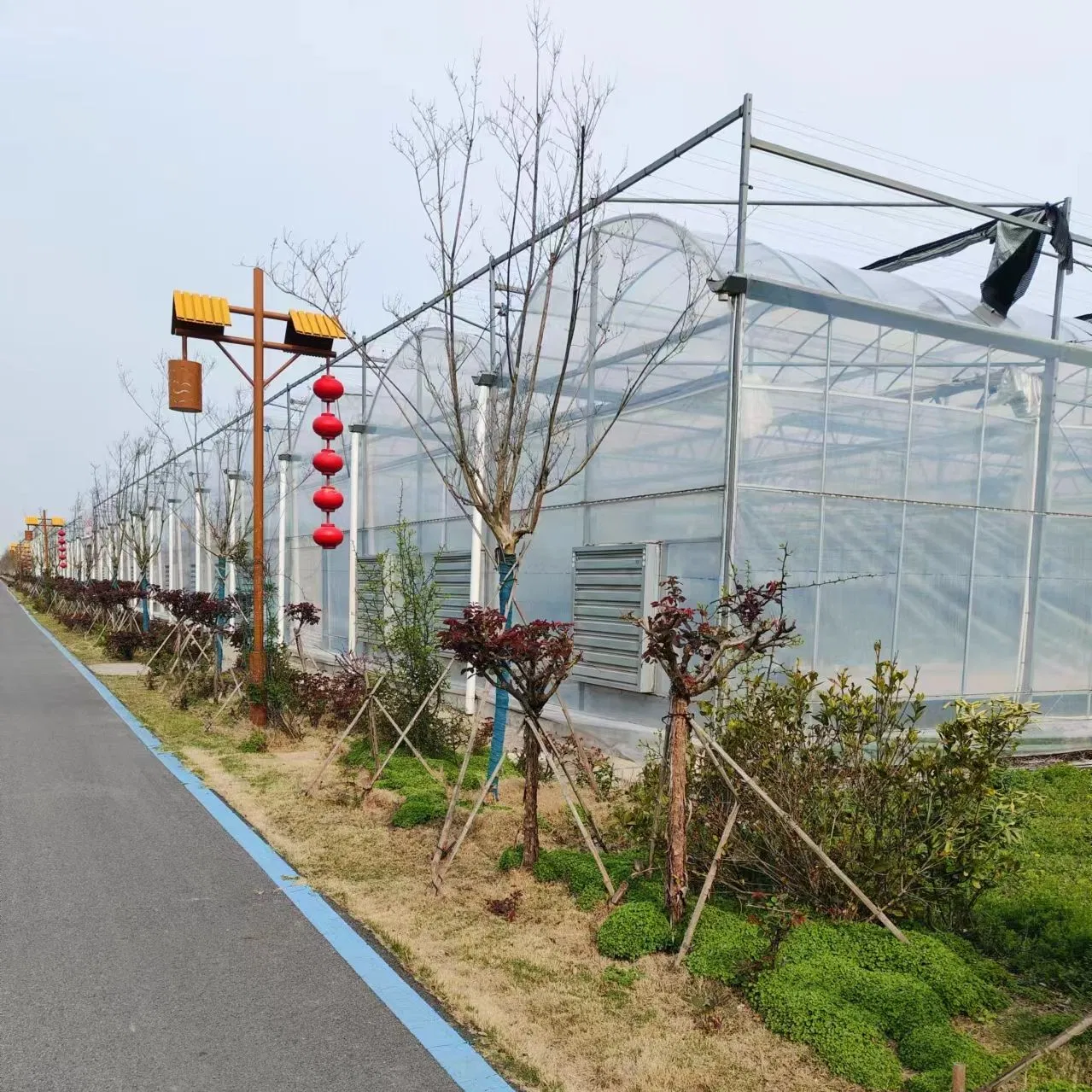 china intelligent greenhouse wholesale