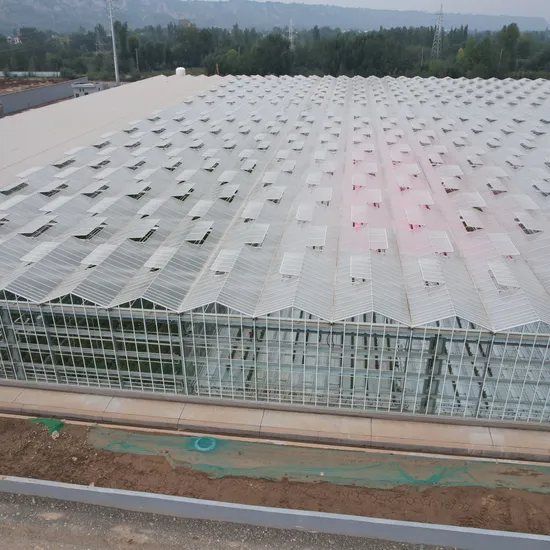 china intelligent greenhouse wholesale