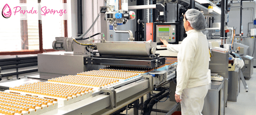 china konjac sponge company China Factory