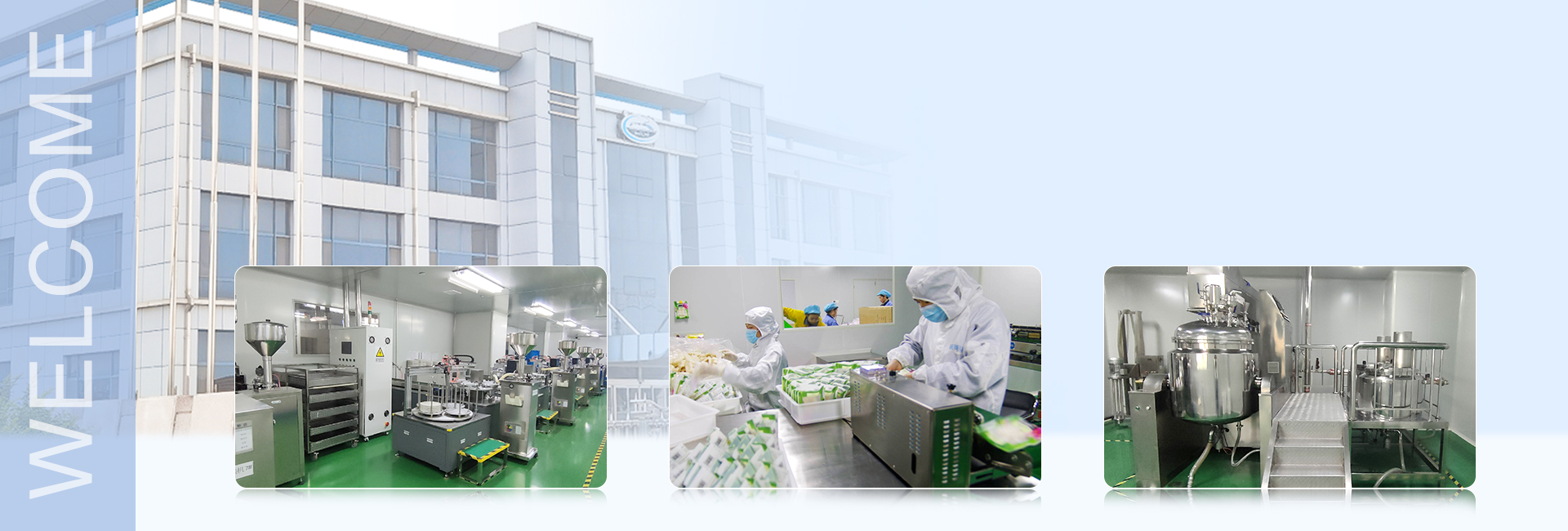 china konjac sponge company