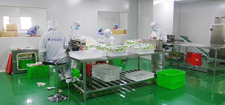 china konjac sponge company
