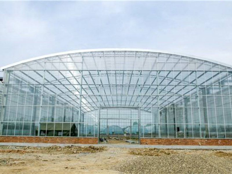 china large glass greenhouse company
