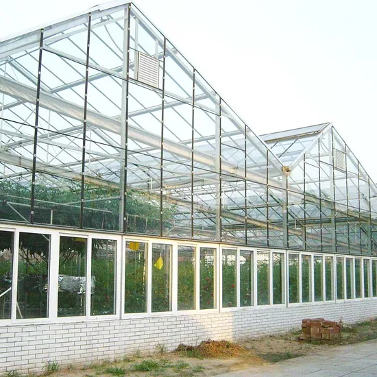 china large glass greenhouse wholesale
