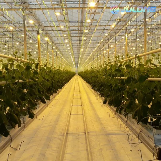 china large glass greenhouse wholesale