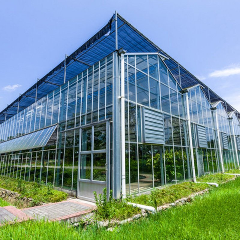 china large glass greenhouse wholesaler China Factory