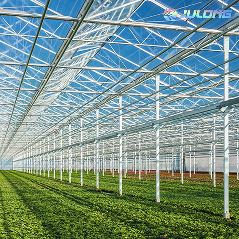 china large glass greenhouse wholesaler
