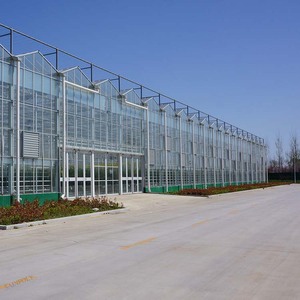 china large glass greenhouse wholesaler