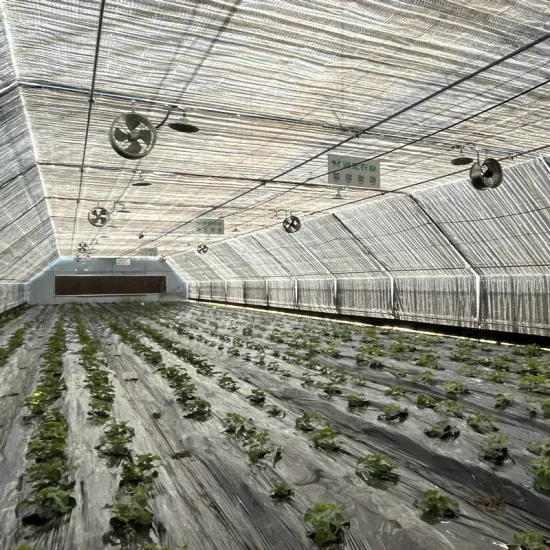china lighting deprivation greenhouse company