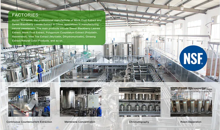 china monk fruit sweetener wholesale China Factory