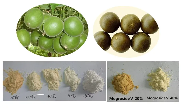 china monk fruit sweetener wholesale