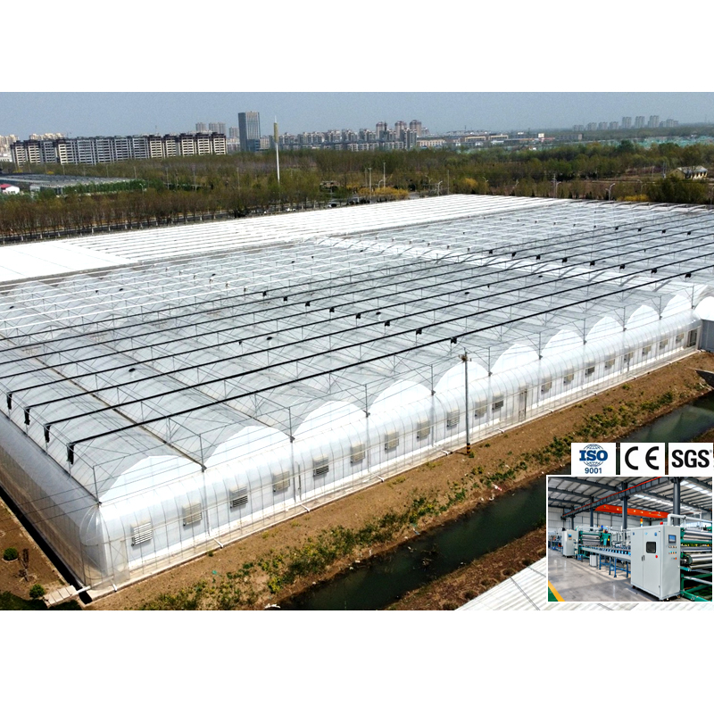 china morden greenhouse wholesale