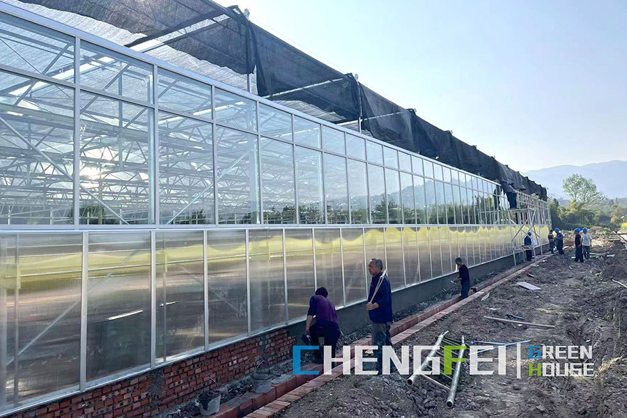 china morden greenhouse wholesale