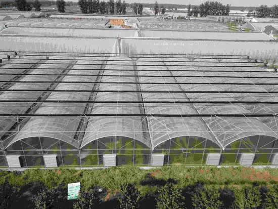 china morden greenhouse wholesaler