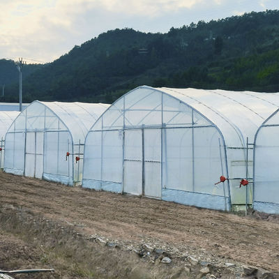 china morden greenhouse wholesaler