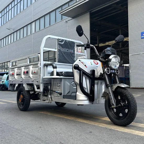 china motorized tricycle wholesaler