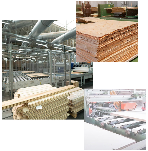 china national forest products company limited China Factory