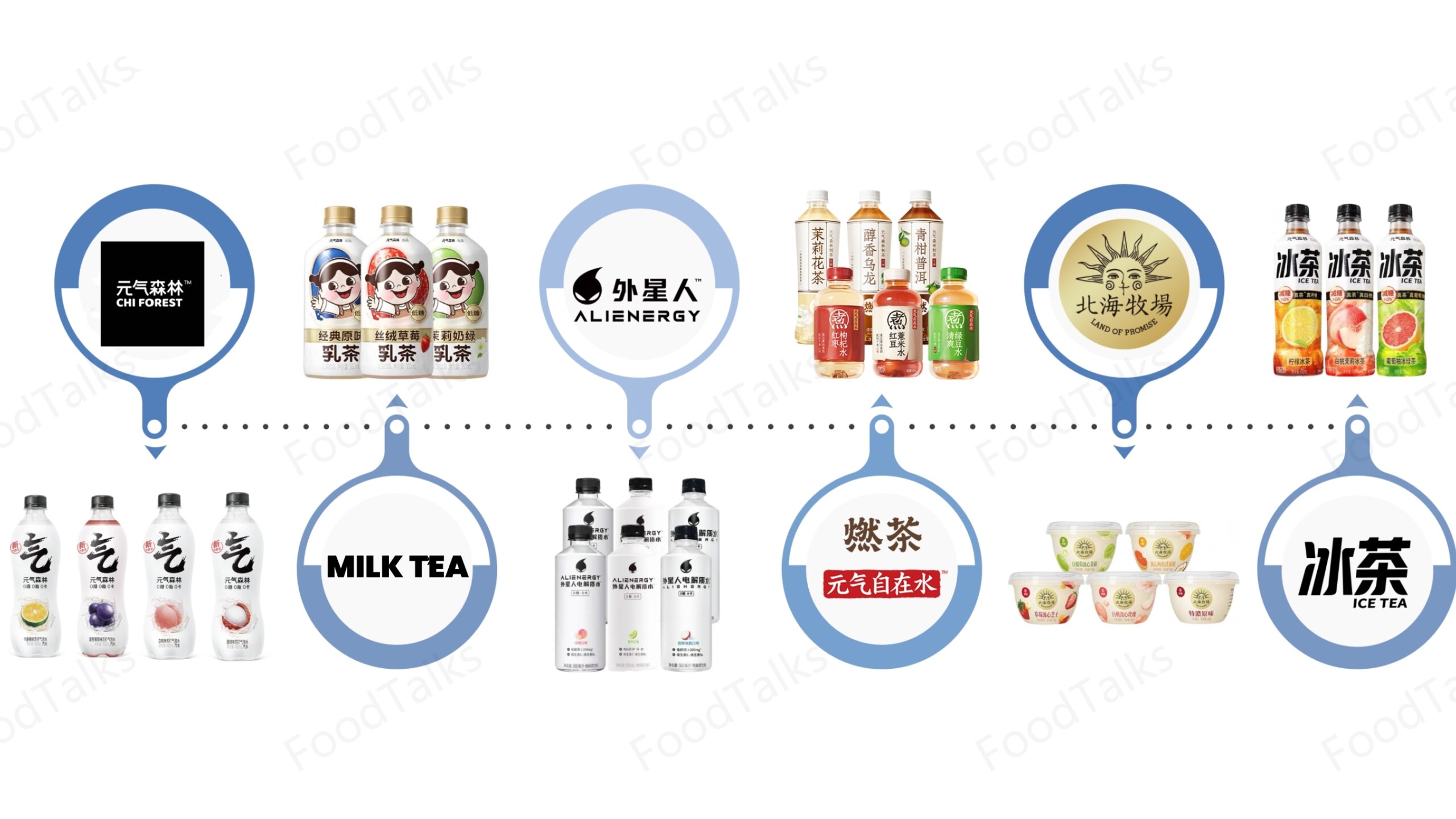 china national forest products company limited