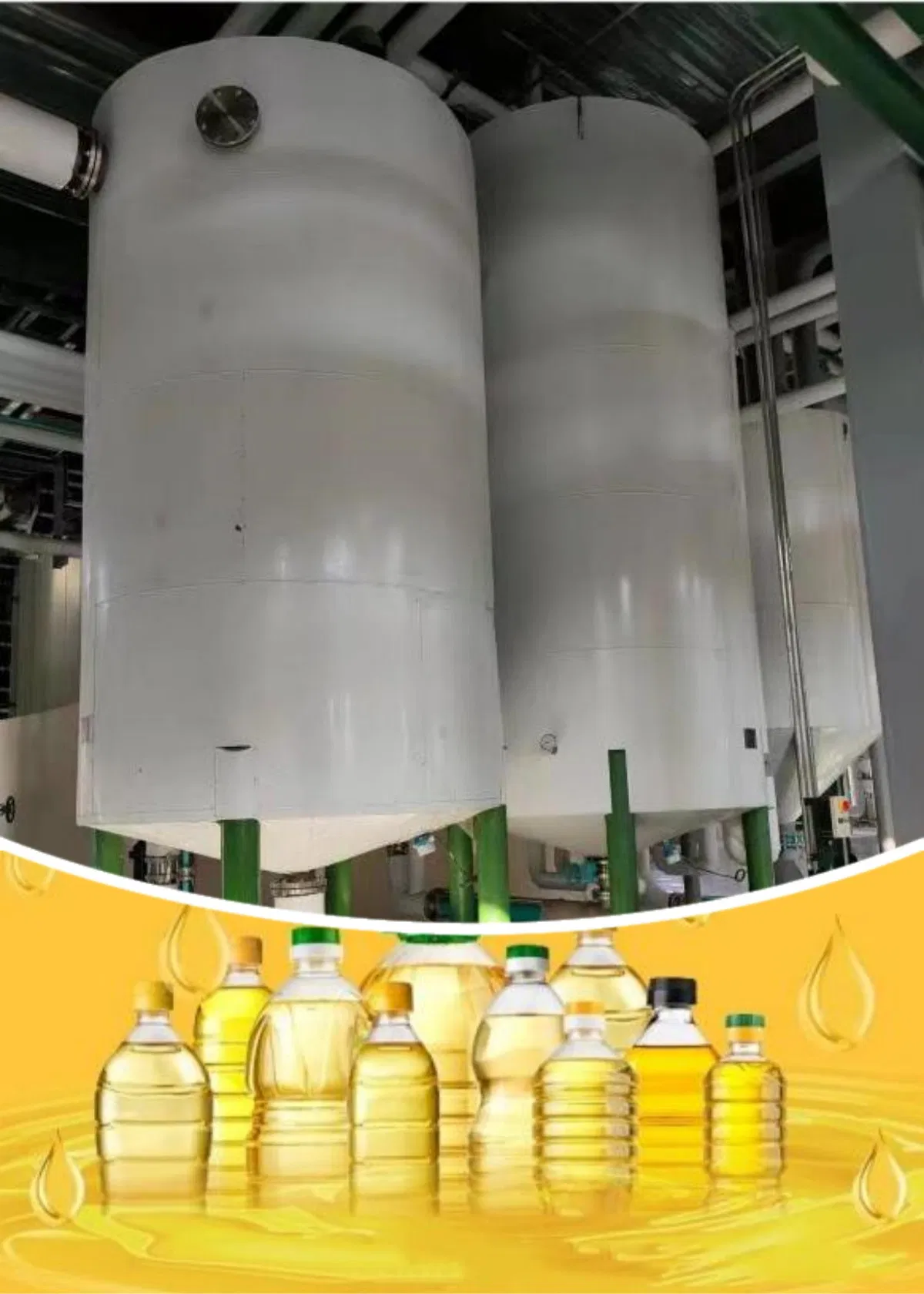 china oil and petroleum company limited