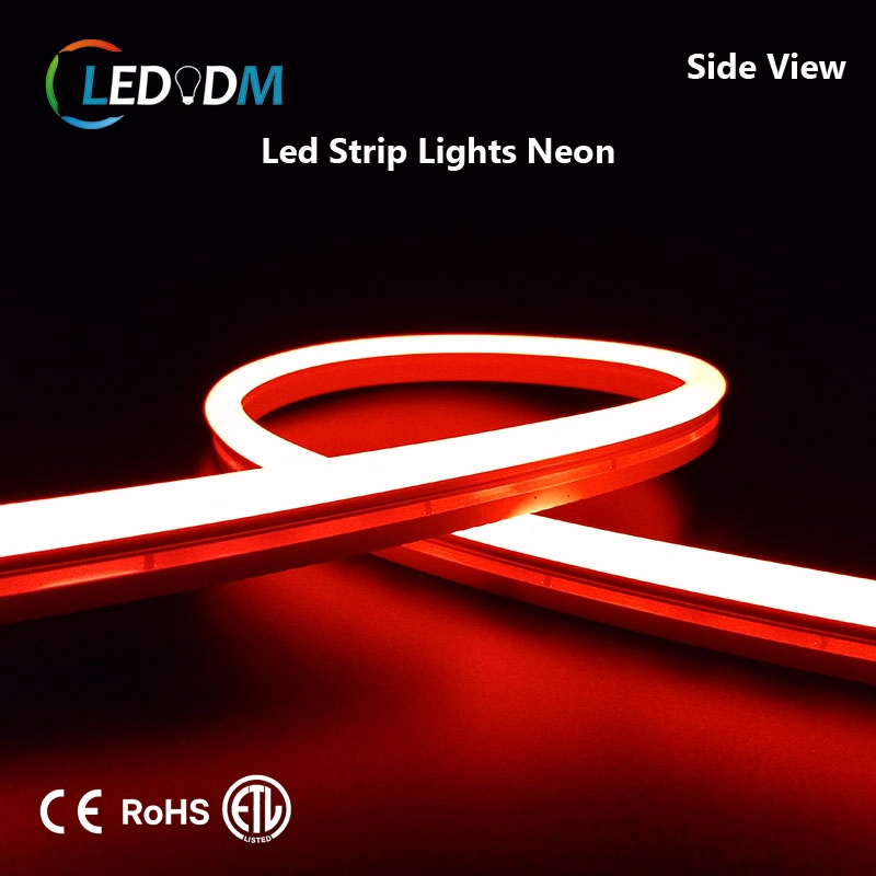 china outdoor silicon neon led strip company China Factory