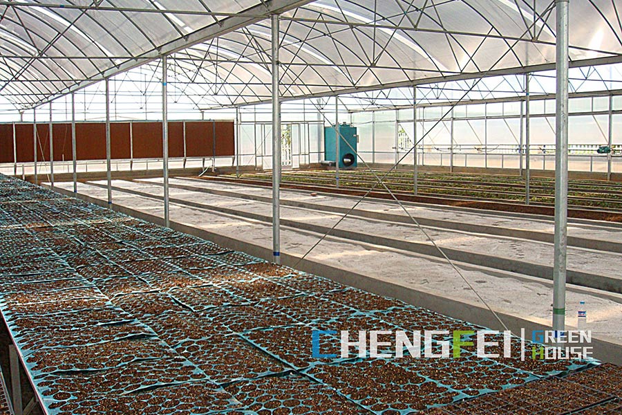 china polycarbonate board greenhouse company