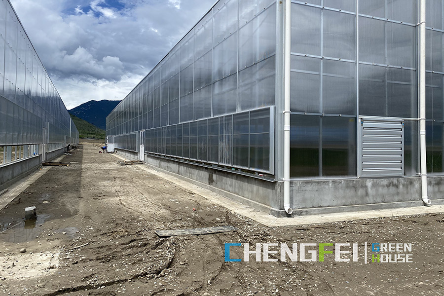 china polycarbonate board greenhouse company