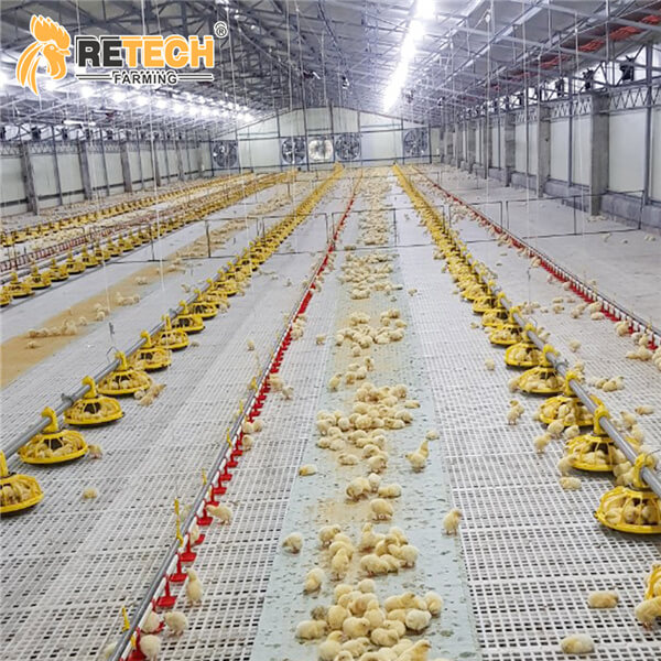 china poultry companies