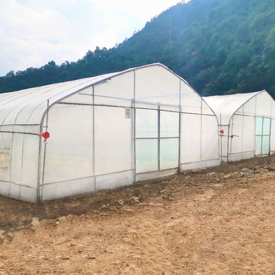 china rectangular greenhouse company