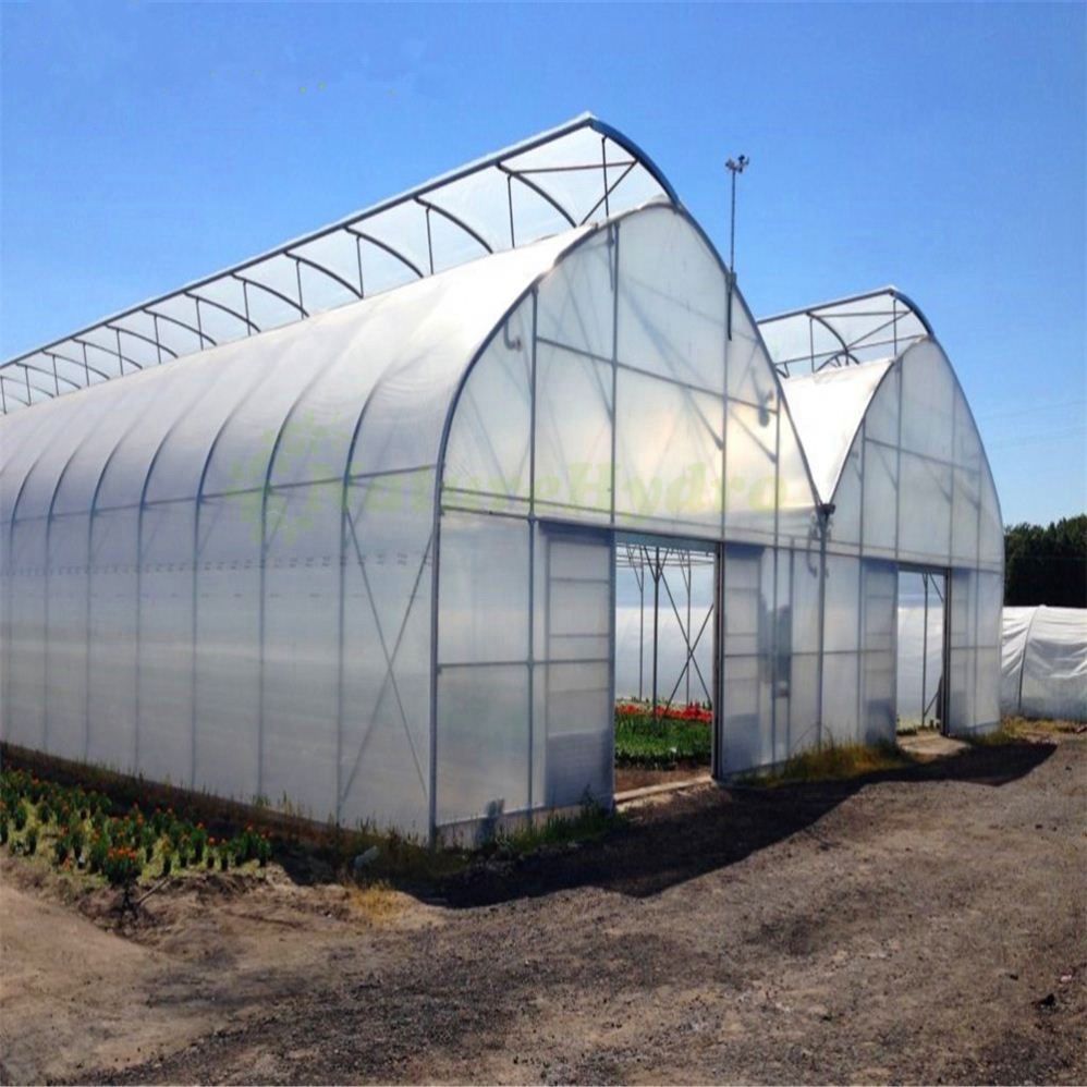 china sawtooth type greenhouse company