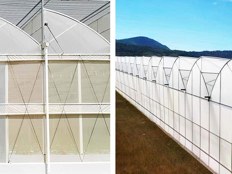 china sawtooth type greenhouse company