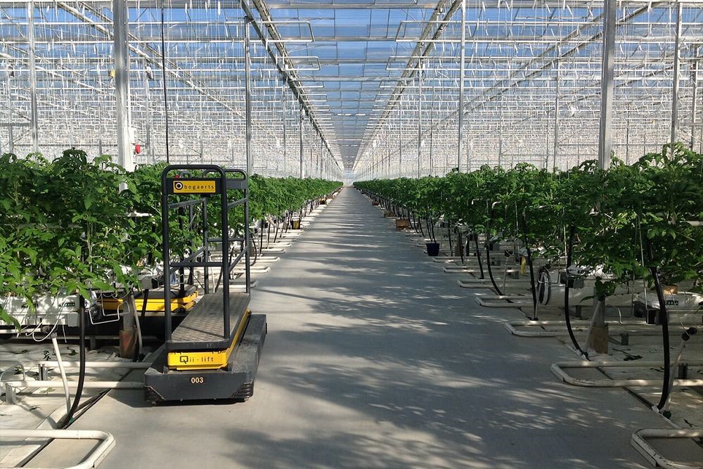 china sawtooth type greenhouse company
