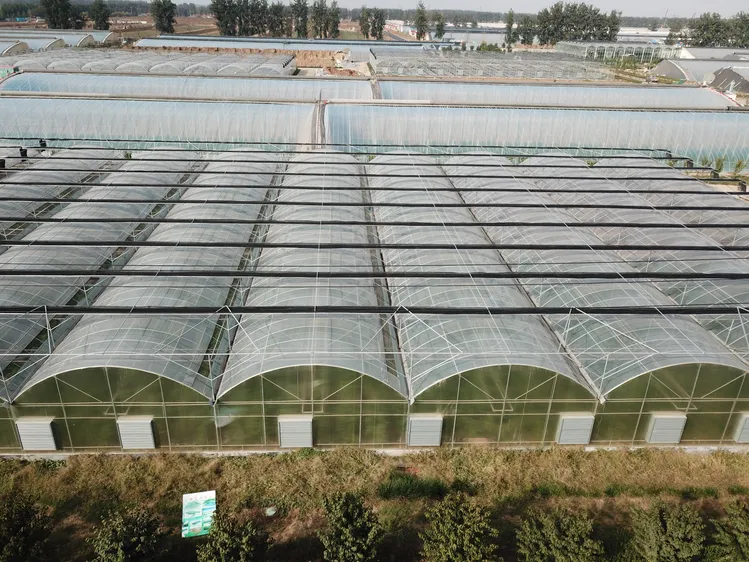 china small greenhouse company