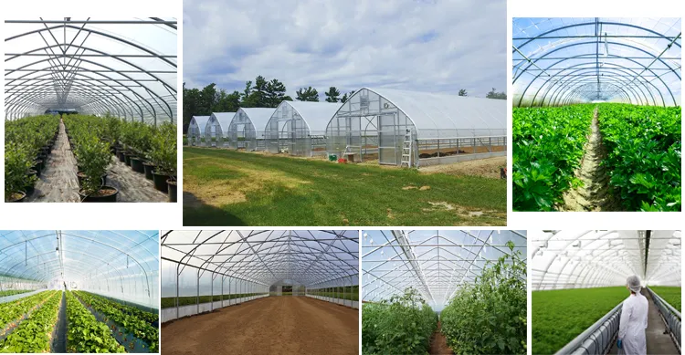china small greenhouse company