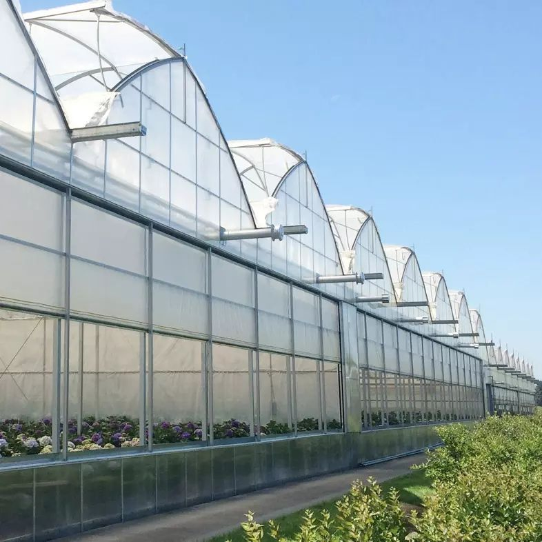 china small greenhouse company