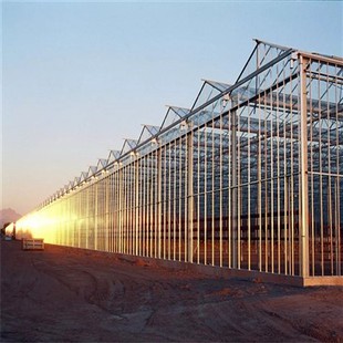 china smart greenhouse wholesale