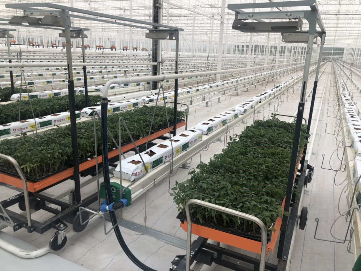 china smart greenhouse wholesale