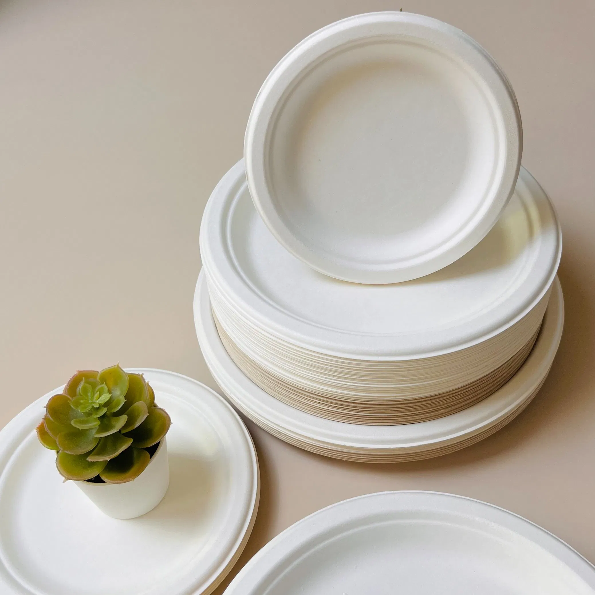 china sugarcane paper plates wholesale