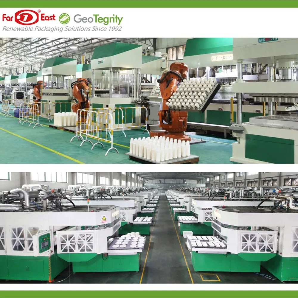 china sugarcane paper plates wholesale