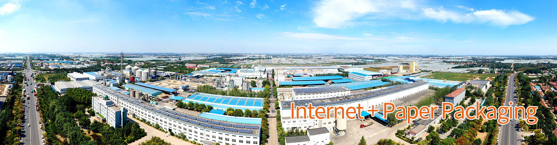 china sunshine paper holdings company limited