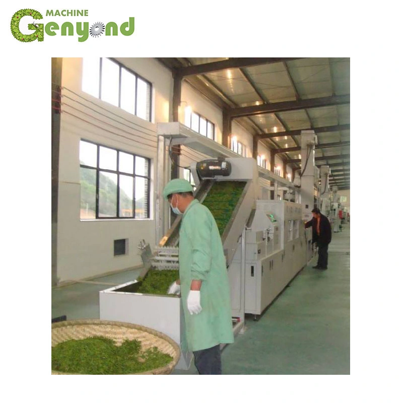 china tea company China Factory