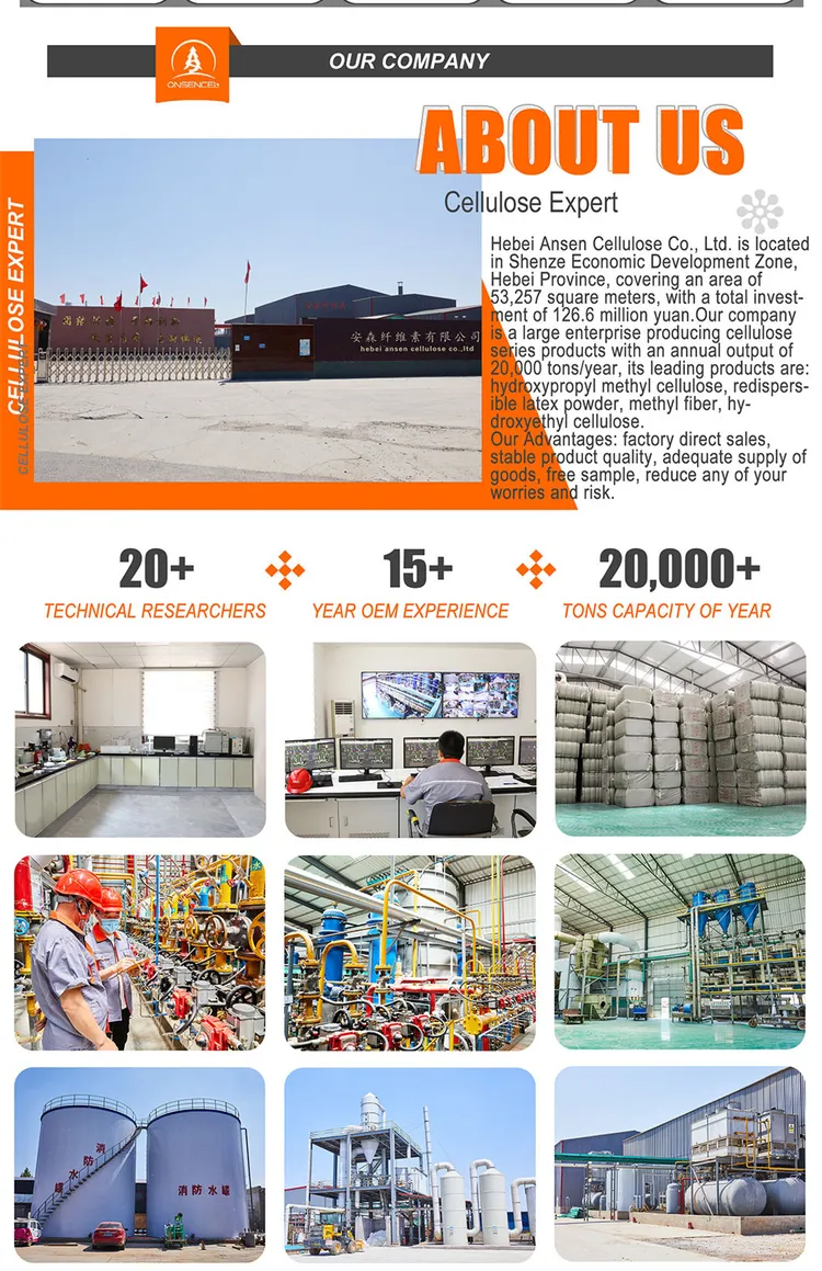 china vae copolymer rdp company