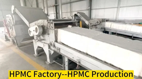 china vae copolymer rdp company