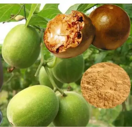 china wholesale monk fruit extract