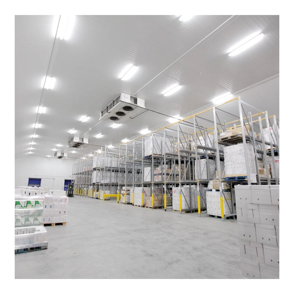 cold storage equipment china solution provider China Factory