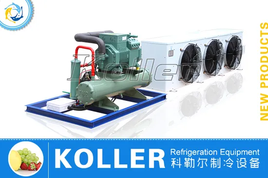 cold storage equipment china solution provider